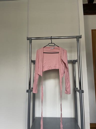 [33] Gilet rose - Zara