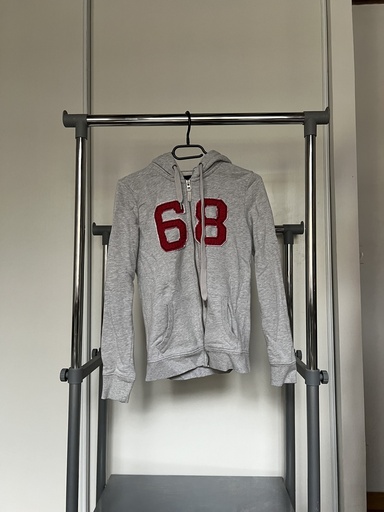 [34] Gilet gris - Esprit
