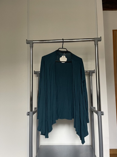 [132] Gilet bleu 